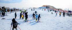 12月28日！金沙湖冰雪节，整个冬天就等你！
