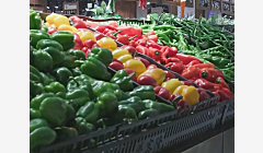 暴雪寒潮之下，蔬菜如何“安全过冬”？价格会上涨吗？