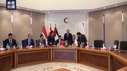 中国援加沙地带物资交接证书签字仪式举行 
