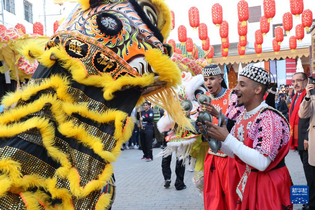2024摩洛哥“歡樂春節·中國廟會”活動開幕