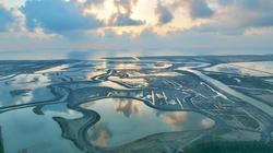 我国首个在海岸带遗产地开展的生态保护修复项目东台川水湾，吸引大批水鸟、麋鹿等野生动物抢先“入住”—— 美丽中国生态文明建设“盐城范例”