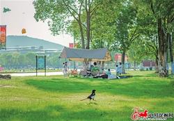 江苏徐州：从“共享”到“乐享” 营造更多高品质绿色空间