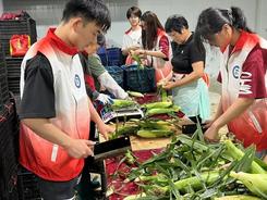 江蘇南京：炎炎夏日，大學(xué)生基層一線“找苦吃”