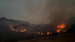 贵州普安县龙吟镇山火明火已扑灭，森林火险等级达4至5级