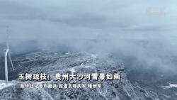 玉树琼枝！贵州大沙河雪景如画
