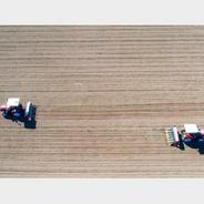 种子科技带来蓬勃生机——黄河三角洲盐碱地春日见闻
