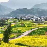 “植”此青绿 共建美丽中国如何向“新”而行？