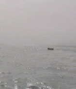 “浙岱渔11492”船老大，海上又救16人！