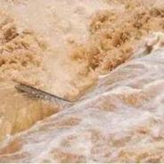 珠江流域44条河流发生超警洪水