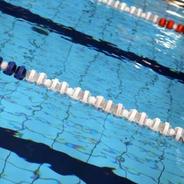 世界反兴奋剂机构：依然坚定支持对中国游泳运动员的科学调查结果