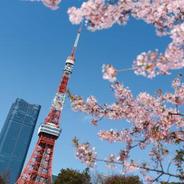日本东京中心地区气温创1876年以来3月最高纪录