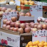 苹果和大葱搅动韩国国会选举