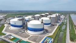 滨海港经济区：精准服务助推LNG产业发展