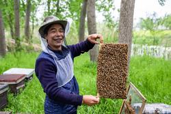 今天我出镜丨方富宝:“逐花寻蜜”的养蜂人