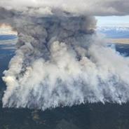 加拿大西部野火过火面积近万公顷