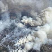 加拿大西部野火肆虐 数千民众紧急撤离