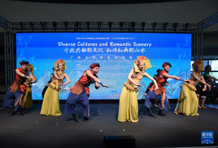 2024年维也纳联合国中文日活动展示多彩中国文化
