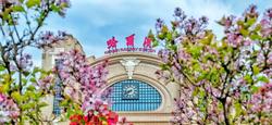 哈尔滨、淄博、天水……“网红”城市这个“五一”客流怎样？