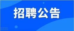 20名！招聘合同制工作人员