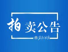 知名作家走進我市開展調研采風活動