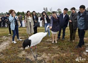 中德农业周与会外宾走进大美湿地