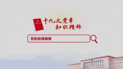 （22）党的巡视制度