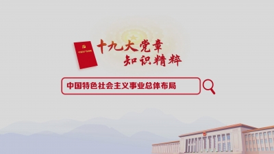 （6）中国特色社会主义事业总体布局