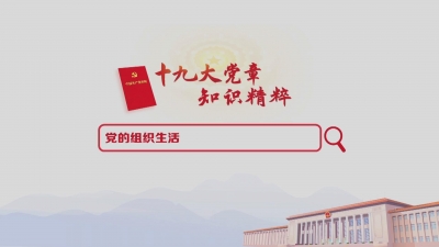 （19）党的组织生活