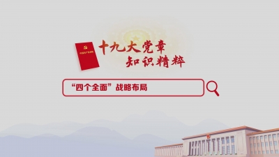 （7）“四个全面”战略布局
