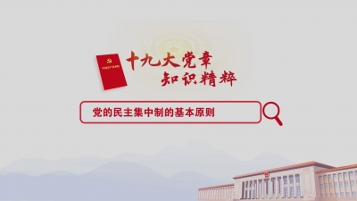 （21）党的民主集中制的基本原则