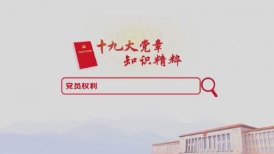 （13）党员权利