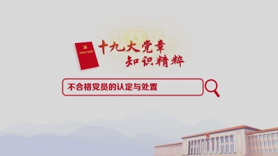 （20）不合格党员的认定与处置