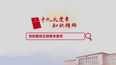 （9）党的建设五项基本要求