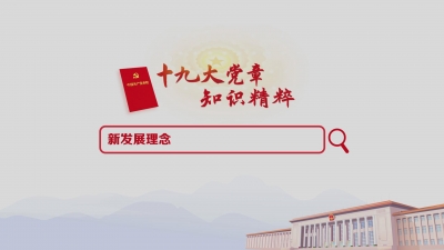 （8）新发展理念