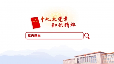 （25）党内选举
