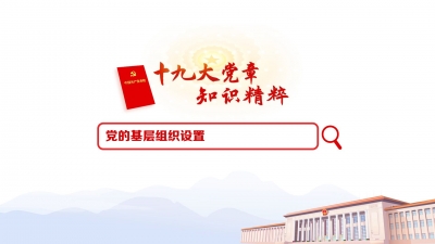 （24）党的基层组织设置
