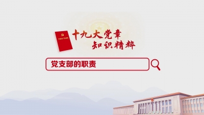 （31）党支部的职责