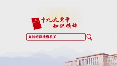 （38）党的纪律检查机关
