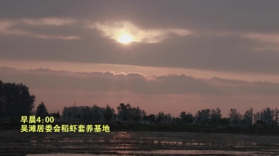 吴国祥的一天和十九年