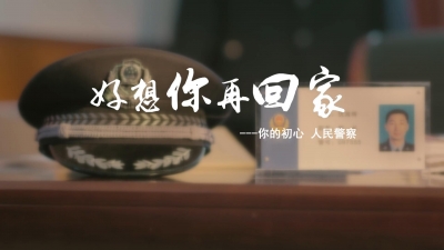 好想你再回家