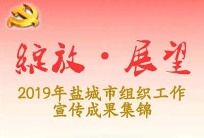 “绽放·展望”2019年盐城市组织工作宣传成果集锦