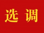 江苏省盐南高新区2020年面向社会公开选调教师公告