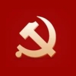 仲祖文：抓好党的组织体系建设