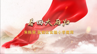 盐都：春回大雁归.mp4