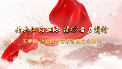 盐都：传承弘扬红色基因 打造特色田园乡村.mp4