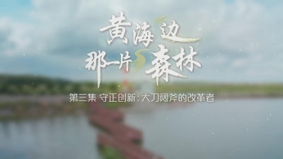 大刀阔斧的改革者.mp4