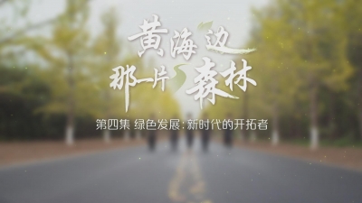 新时代的开拓者.mp4