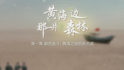 黄海之滨的拓荒者.mp4