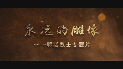 08-永远的雕像-纪录片-盐都区委组织部.mp4
