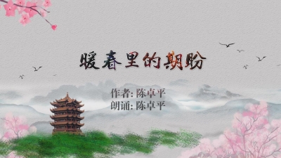 暖春里的期盼.mp4